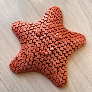 Estrela  do Mar Sensorial Articulada  – 13cm